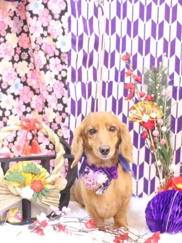 20250125しろくん